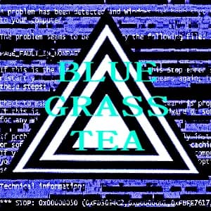 author profile image