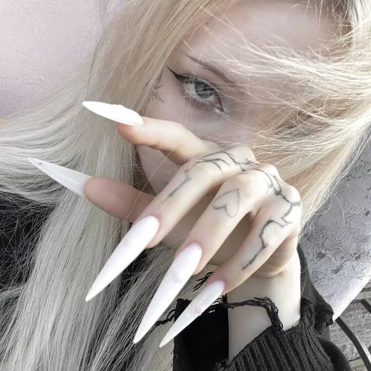 author profile image